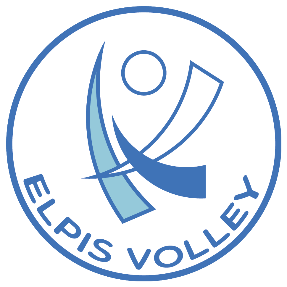 DATA SERVICES ELPIS V